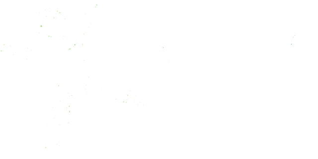 Pikes Peak Children's Museum Logo